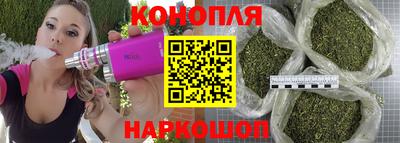 ешки Можга