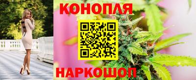 гидра Можайск